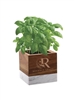 Acacia Wood & Marble Blossom Kit | Elegant Indoor Planter with RPET Liner