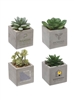 Mini Faux Potted Succulent | Modern Concrete Desk Decor