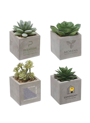 Mini Faux Potted Succulent | Modern Concrete Desk Decor