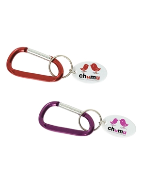 Personalized Carabiner Keytag with White Tag | Corporate Giveaway