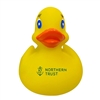 Weighted Rubber Duck | Custom Promotional Tool for Races & Giveaways