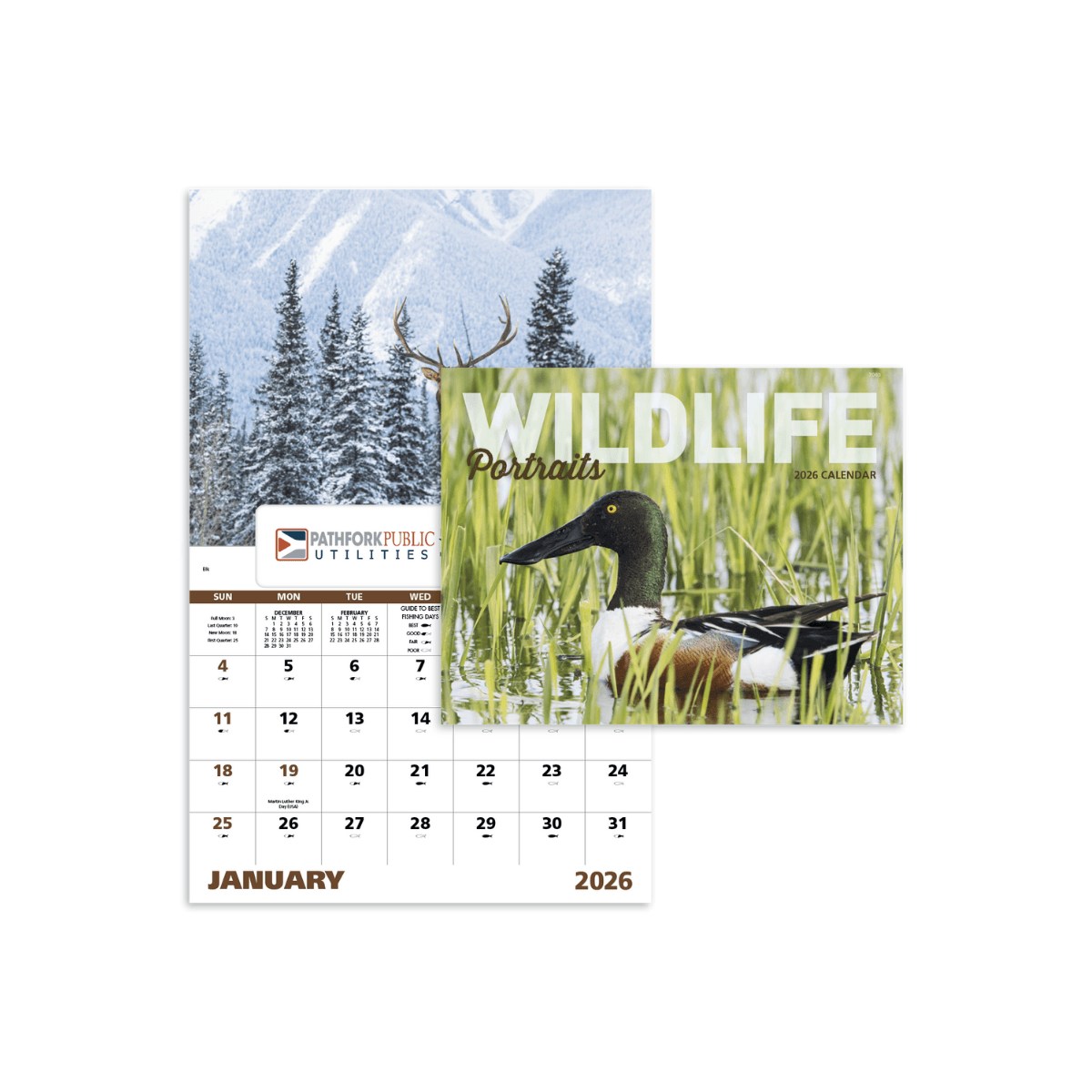 Good Value | Wildlife Portraits Window Calendar | Eco-Friendly Promotional Calendar