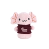 Chelsea Teddy Bear Shorties 4" Plush Axolotl | Full Color Custom Plush