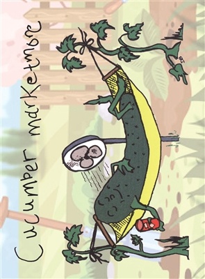Kids Series Cucumber Custom Printed Seed Packets