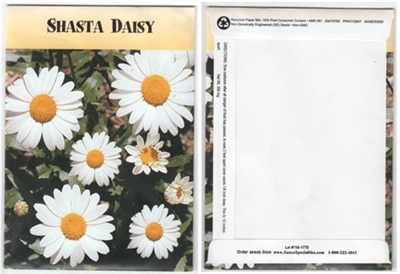 Shasta Daisy Flower Seed Packets - Blank