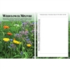 Wildflower Mixture Flower Seed Packets Blank