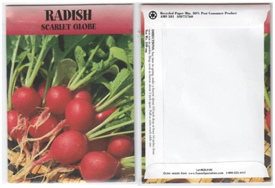 Radish Vegetable Seed Packets - Blank