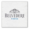 1-Ply White Beverage Napkin | Linen Embossed | Eco-Friendly Table Napkins