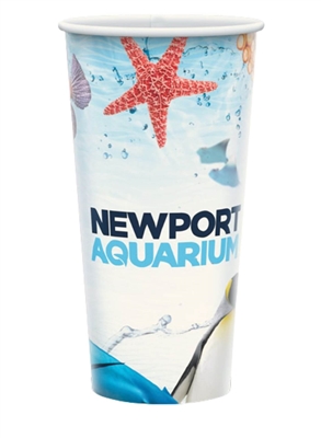 Matte Plastic-Free Paper Cup 20/21oz | Compostable & Recyclable