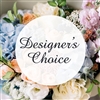 Premium Designer's Choice