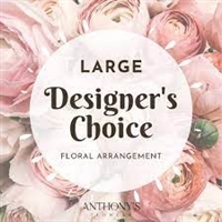 Large Designer Choice