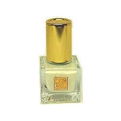 estee lauder pure color nail lacquer