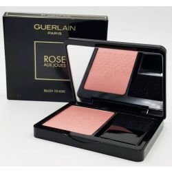 Guerlain Rose Aux Joues Tender Blush 01 Morning Rose at CosmeticAmerica