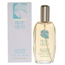 Blue Grass by Elizabeth Arden for women 3.3 oz  Eau De Parfum Spray at CosmeticAmerica