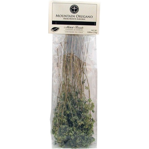 Wild Mountain Oregano