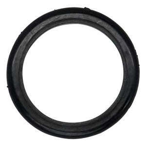 Wilden 01-3220-55 Glyd Ring, Teflon