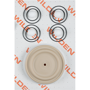 Wilden 01-9815-55-203 Wet Kit, 1/2'' Advance Bolted, All Plastics, PTFE w/Santiflex Back-up (1/2'' A/P/TSU)