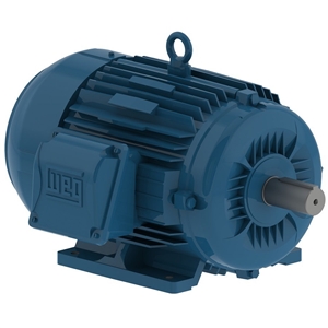 WEG 01018ET3E215T-W22 Motor