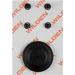 Wilden 02-9814-52 Wet Kit, 1'' Advance Bolted, All Materials, Buna-N (1'' A/M/BNS)