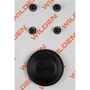 Wilden 02-9814-53 Wet Kit, 1'' Advance Bolted, All Materials, Viton (1'' A/M/VTS)