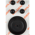 Wilden 04-9804-52 Wet Kit, 1.5'' Combo, All Materials, Buna-N (1.5'' C/M/BNS)