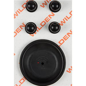 Wilden 04-9805-53 Wet Kit, 1.5'' Original Clamped, All Plastics, Viton (1.5'' O/P/VTS)