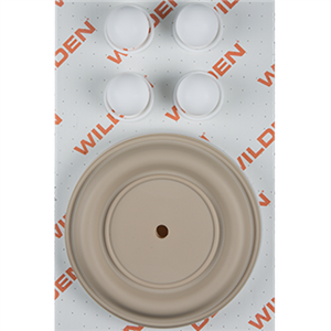 Wilden 08-9824-55-203 Wet Kit, 2'' Advance Fit, All Materials, PTFE w/Santiflex Back-up (2'' D/M/TSU)