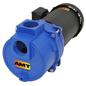 AMT 316A-95 Self Priming Pump 2", 3 hp, 230/460V, 3 ph, TEFC