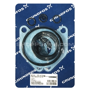 Grundfos 96509609 Gasket Kit, EPDM