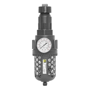 Master Pneumatic #CFR100-6 Filter/Regulator