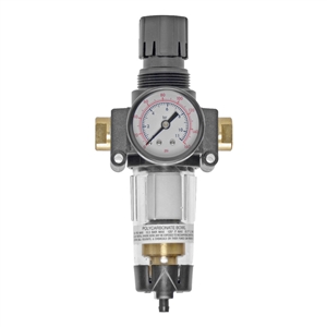 Master Pneumatic #CFRM10-2 Filter/Regulator
