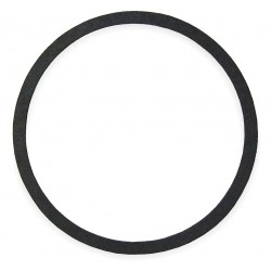 Bell & Gossett P57700 Gasket, Volute