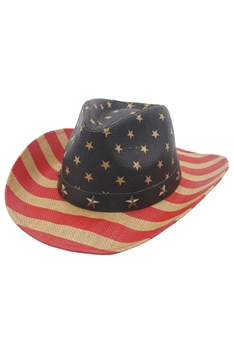 American Flag Printed Fedora Hat C0554 - Brown
