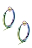 Stainless Steel Nose Rings/Earrings E4444 - Multi
