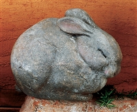 3253 Rabbit Rock Pet