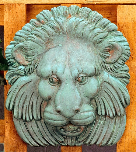 3440 Lion Face