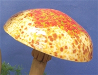 4034 Mushroom Lg Round Cap