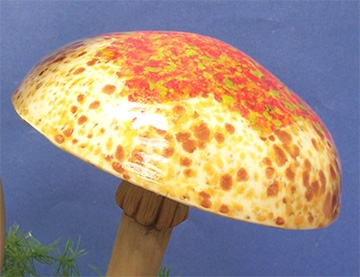 4034 Mushroom Lg Round Cap