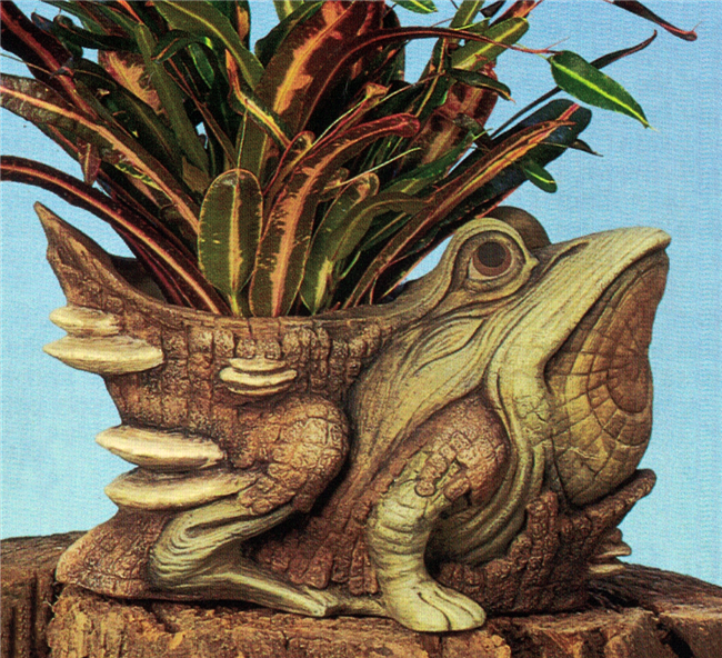 A large cast ceramic piece shaped like a frog made of wood. Most of the frog still has the texture of bark, though areas on the face and legs are worn. It is seated, looking upwards, with a few shelf mushrooms on its back. Its body is hollow for plants.