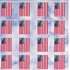 60ft. U.S. Flag Poly Pennant