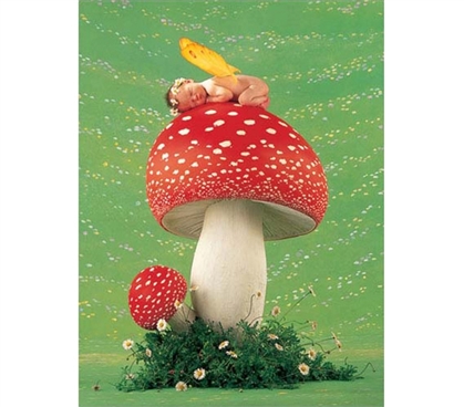 Erin as Toadstool - Anne Geddes Poster To Make College Students Happy