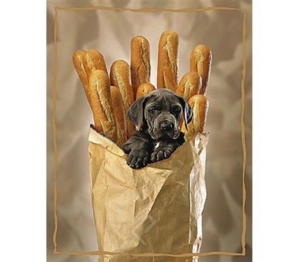 Stylish Puppy with Baguettes  Poster