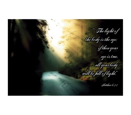 Beautiful The Light Wilderness Poster