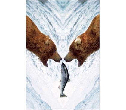 Posters For College - Two Bears For One Fish Poster - College Dorm Room Staples