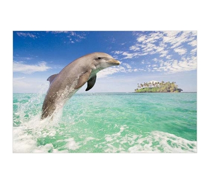 Decorate Your Dorm - Dolphins Jumping In Mediterranean - Poster Essential - Pretty Wall Decor