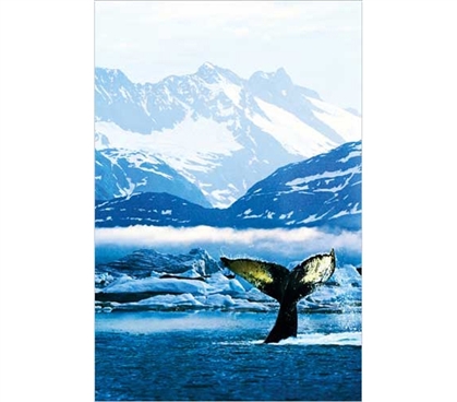 Nature Poster For Dorms - Humpback Whale Poster - Decorate Your College Dorm