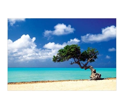 Must Have College Supplies - Caribbean Zen Moment Poster - Posters For College