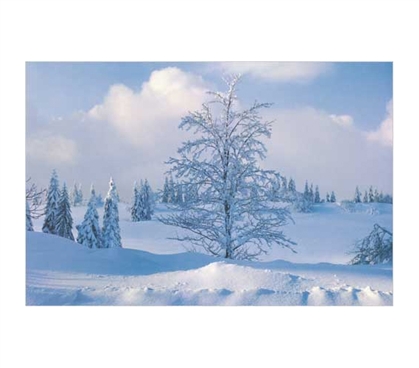 Decorate Your Dorm Room - Winter Landscape Poster - Brings A Cool Scene To your College Decor