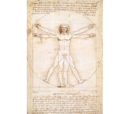 Famous Italian Artwork -Schema delle Proporzioni - Da Vinci Poster Essential
