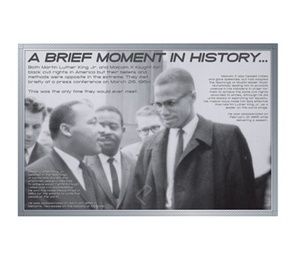 MLK Famous American - African American History Must Have Poster